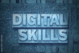 digital skills board